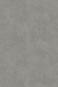 Beauflor: Silvertex Roundwood 909M