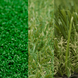 grass
